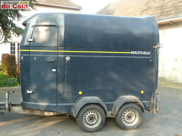 van westfalia chevaux